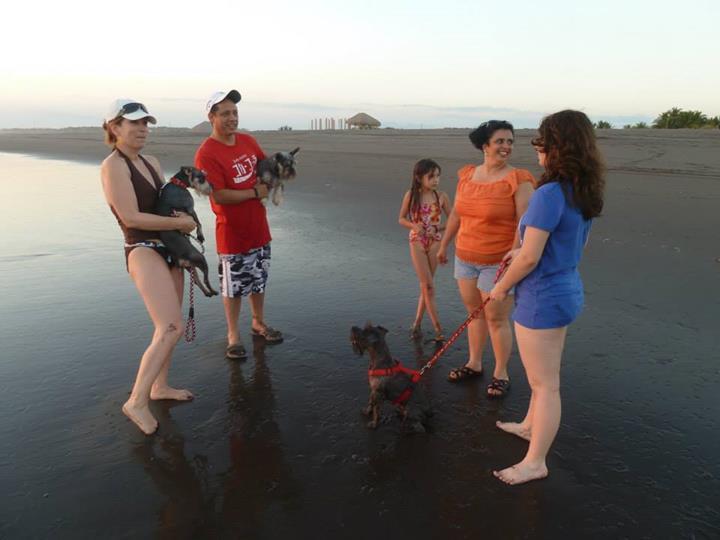 Las Lisas Eco-Hotel Playa Quilombo מראה חיצוני תמונה